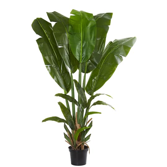 8.5ft. Potted Giant Travelers Palm Tree